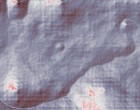 astalavista co
