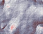 www astalavista sk