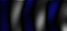 winall incl keygen virility