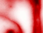 photoshop cs serialz