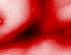keygen serials and cracks