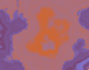 free adobe serialz