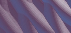 netchaser serialz