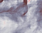 keygen condition zero 1