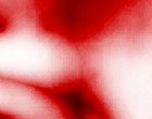 free adobe serialz